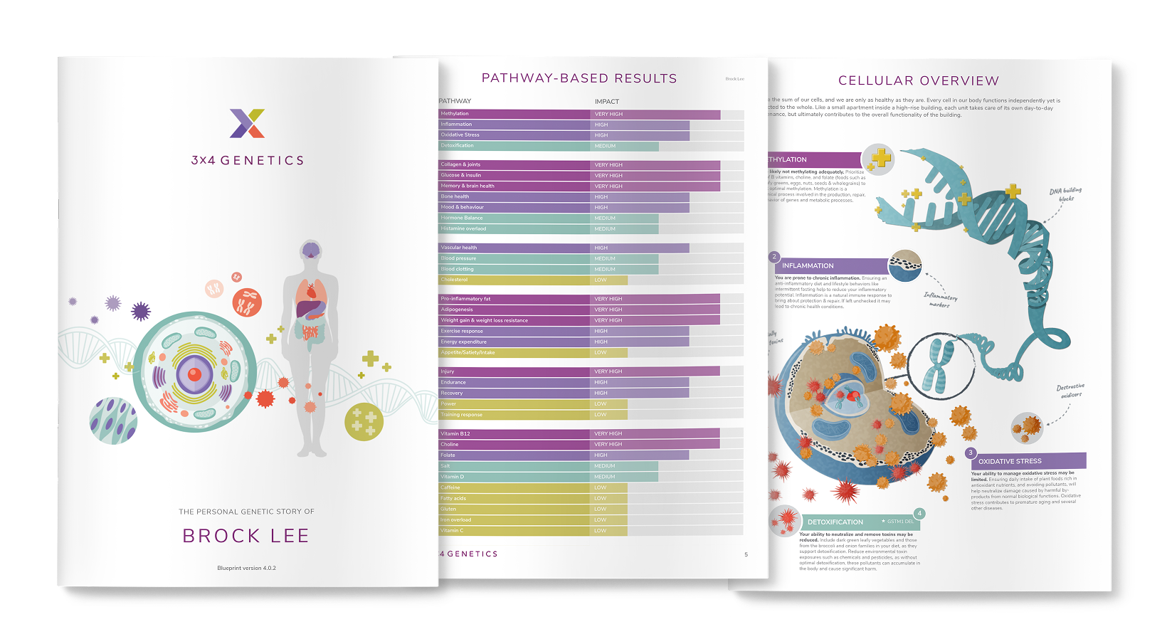 Preview of the 3X4 Blueprint Report