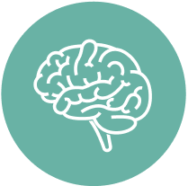 Brain health icon
